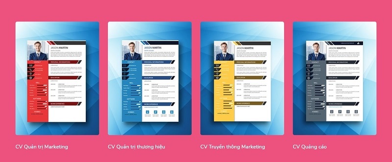mẫu cv cho sinh viên mới ra trường
