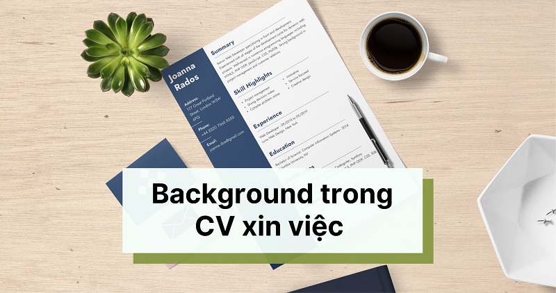 background cv