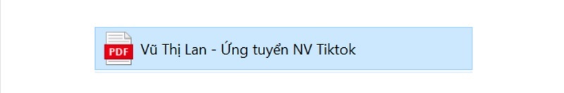 tiêu đề cv 1